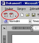 Ikony ve Wordu